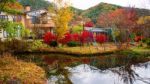 Luxury House With Autumn Color Leaves Stock Photo