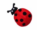 Ladybug Stock Photo