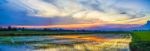 Beautiful Sunset Sky And Rice Field Stock Photo