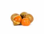 Schleichera Oleosa (lour.) Oken Fruit Isolated Stock Photo