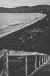 View Of Bruny Island Beach During The Day Stock Photo