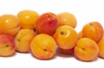 Armenian Plums (prunus Armeniaca) Stock Photo