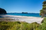 A Summer Evening At Hahei Beach In New Zealand Stock Photo