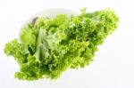 Green Lettuce Stock Photo