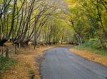 Autumnal Scene In The Sussex Countryside Stock Photo