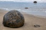 Moeraki Boulders Stock Photo