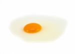 Raw Egg Stock Photo