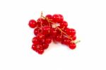 Redcurrants Stock Photo