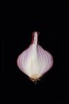 Shallots Still Life Black Background Stock Photo