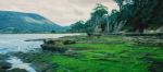 Tessellated Pavement In Pirates Bay Stock Photo