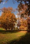 Autumn Trees Stock Photo