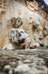 Unesco World Heritage Site Wat Chedi Si Hong In Sukhothai Stock Photo