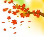 Autumn Leaves Background Stock Photo