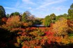 Autumn Foliage At Tofuku-ji Temple In Kyoto Stock Photo