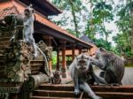 Monkeys On A Temple Wall With Babys Playing Stock Photo