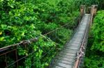 Rope Walkway Through Stock Photo