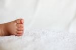 New Born Baby Feet Stock Photo