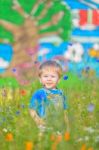 Cute Small Boy At The Field Of Flowers Having Good Time Stock Photo