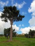 Ancient Ruins At Beeston Castle Stock Photo