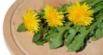 Dandelion Stock Photo