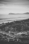 View Of Bruny Island Beach During The Day Stock Photo