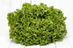 Fresh Lettuce Isolated On White Stock Photo