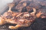 Traditional Meat Grilled On The Grill In The Argentine Countryside Stock Photo