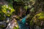 Looking Into Avalanche Creek Stock Photo