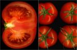 Tomatoes Collage Stock Photo