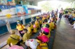 Primary Students Visit The Zoo, In The Jul 27, 2016. Bangkok Thailand Stock Photo