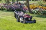 Modern Gasoline Lawn Mower Stock Photo