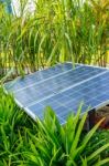 The Panels Of Solar Cell In A Garden Stock Photo