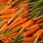 Fresh And Colorful Carrots Stock Photo