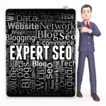 Expert Seo Indicates Search Engine And Character 3d Rendering Stock Photo