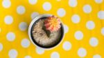 Cactus In Pot On Yellow Dot Table Stock Photo