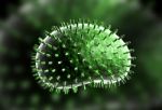 Influenza Virus Stock Photo