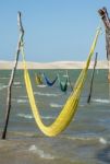 Hammocks On The Beach Of The Lake Tatajuba In Jericoacoara, Braz Stock Photo