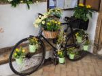 Old Bicycle Decorated With Flowers In St Edmund's Church Southwo Stock Photo