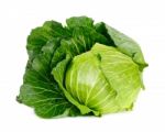 Cabbage Isolated On The White Background Stock Photo