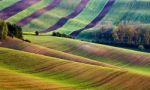 Spring Fields Panorama. Green Waves. Czech Moravia Hills Stock Photo