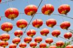 Chinese Paper Lantern Stock Photo