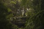 Russell Falls In Mount Field National Park Stock Photo