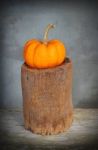 Still Life Pumpkin Stock Photo