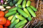 Green Cucumber Stock Photo