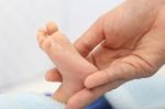 Hands Holding A Baby Foot Stock Photo