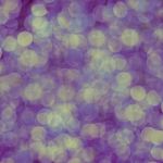 Pink, Yellow And Purple Abstract Background Of Blurred Lights Wi Stock Photo