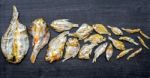 Dry Fish With Sunny On Black Wooden Floor Stock Photo