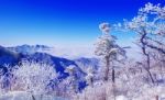 Landscape In Winter,deogyusan In Korea Stock Photo