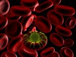 Red Blood Cell And Virus Stock Photo