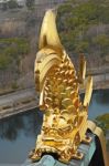 Golden Dragon On Roof Of Osaka Castle Stock Photo